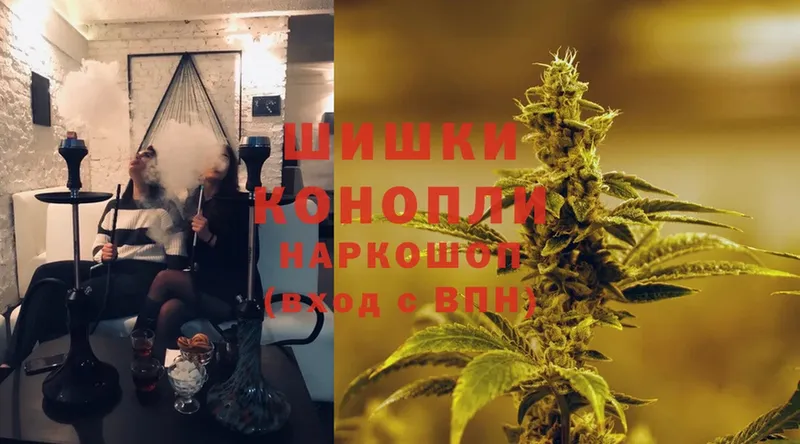 Каннабис OG Kush  Новосиль 